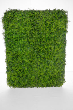 Mur de verdure luxuriant — Fête ta Fête