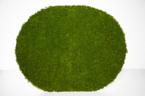 Lush Green Rond Backdrop