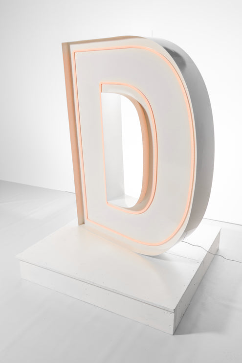 "D" Neon Marquee Letter