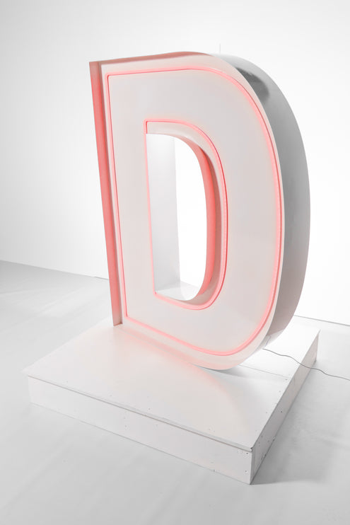 "D" Neon Marquee Letter