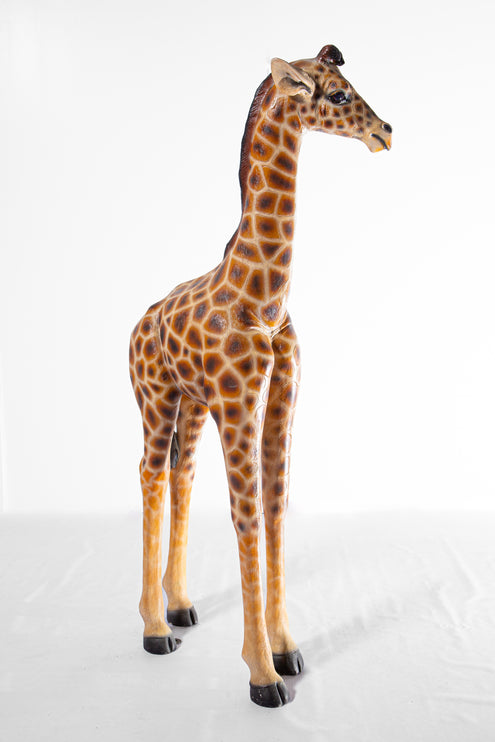 Life-Size Giraffe Prop